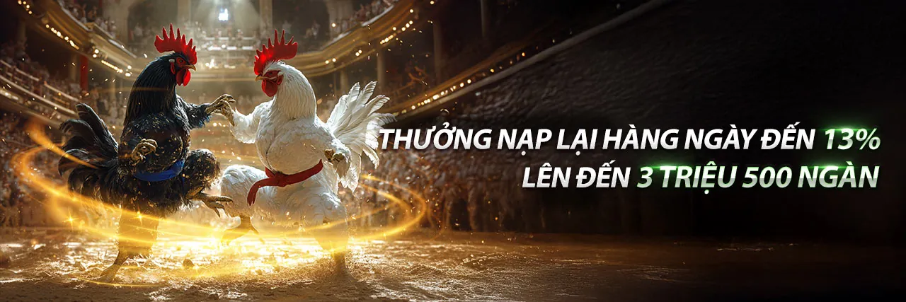 Đá gà trực tiếp 30 5 tại Tydo88